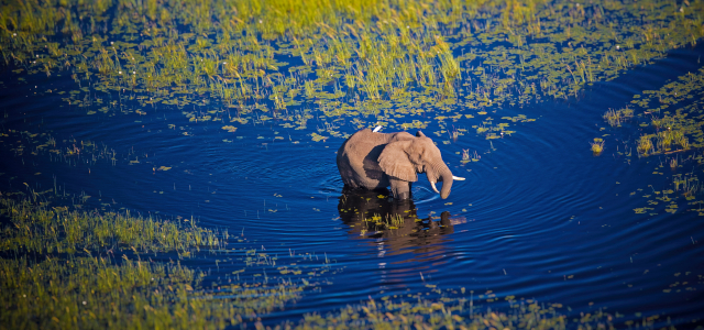 Read more about the article Cooperation key to promoting sustainable water resources management in the Southern African Development Community region