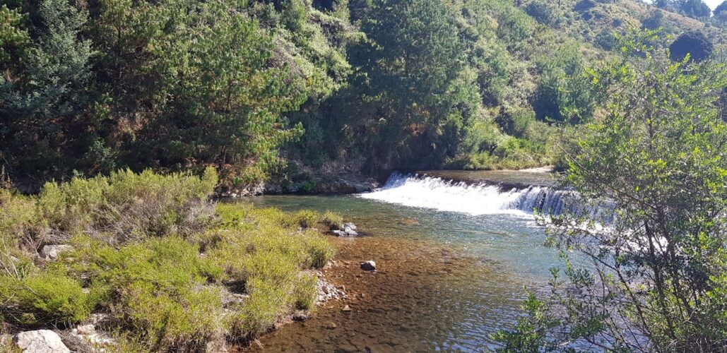 Biodiversity and Livelihoods in the Pungwe River basin under threat